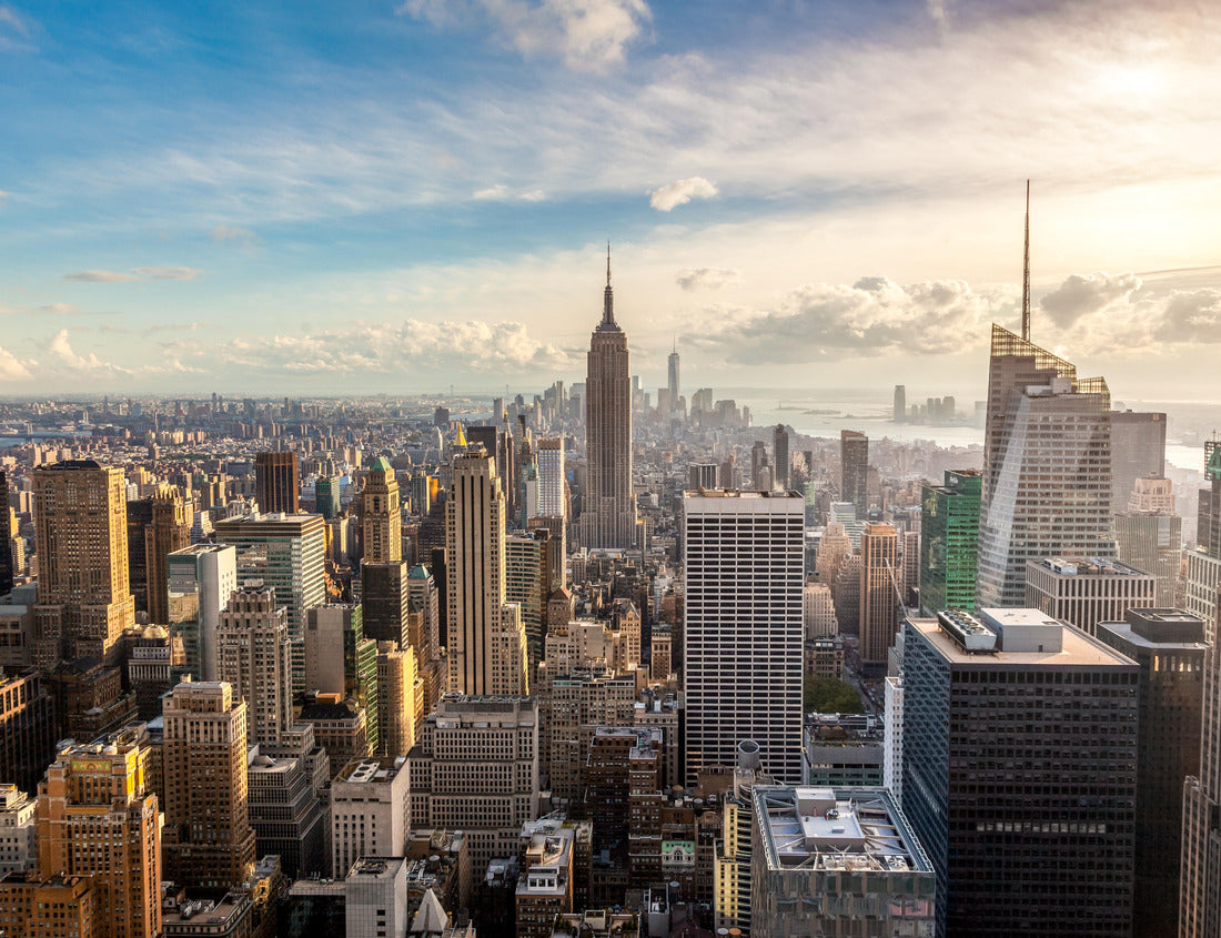 Noah Jigsaw Puzzle Skyline of New York City 1000 pieces