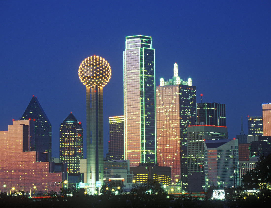 Noah Jigsaw Puzzle Dallas, TX skyline at night 1000 pieces