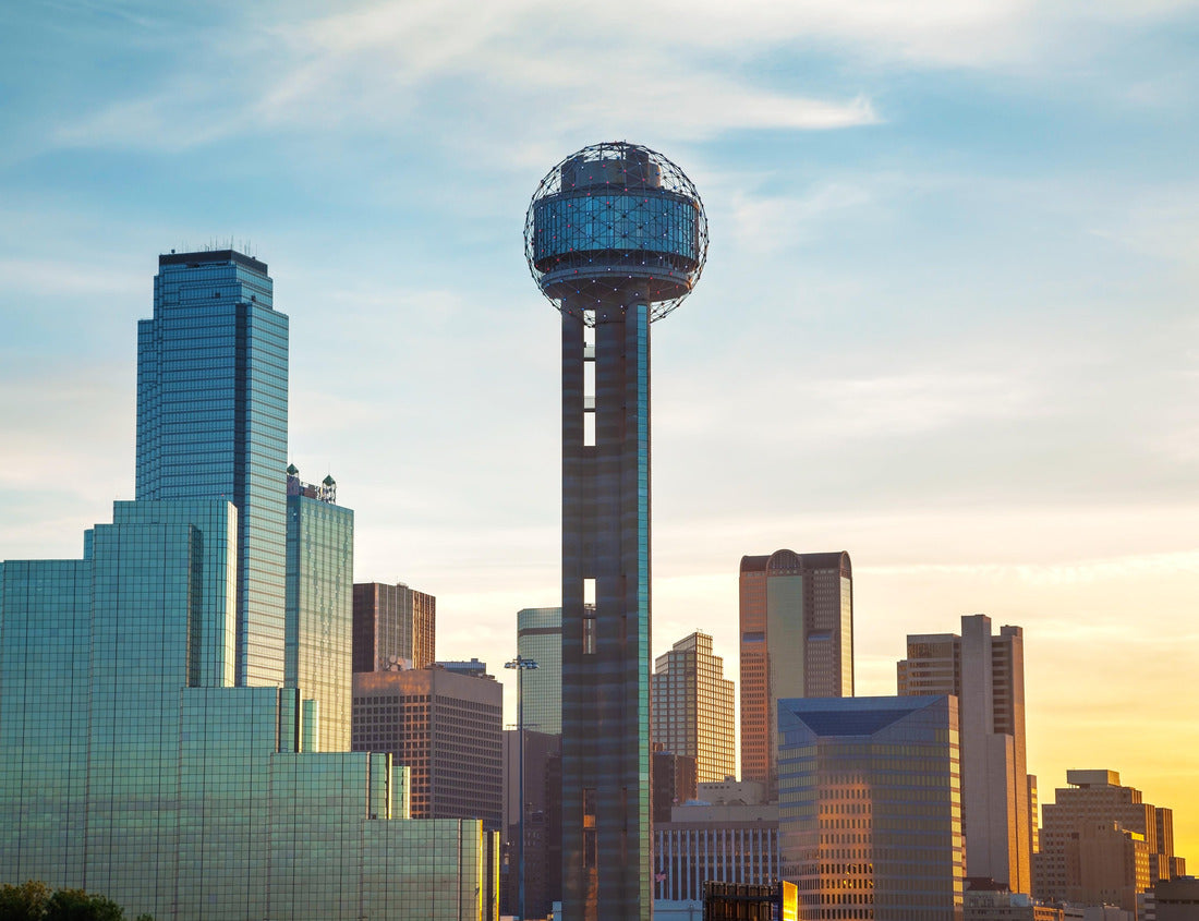 Noah Jigsaw Puzzle Dallas, Texas City of the morning 1000 pieces