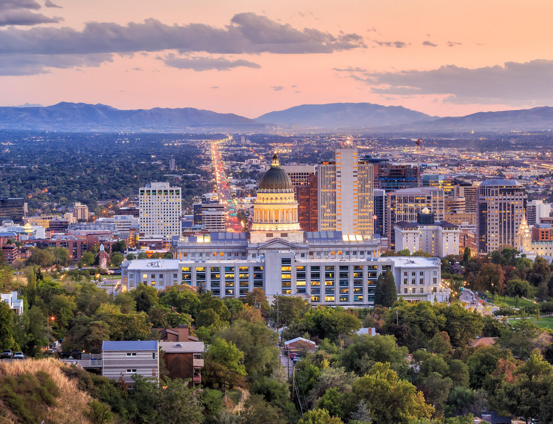 Noah Jigsaw Puzzle Salt Lake City skyline Utah at night 1000 pieces