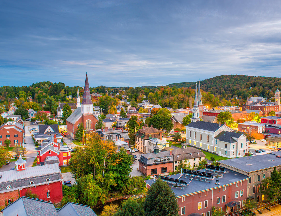Noah Jigsaw Puzzle Montpelier, Vermont, USA City Skyline 1000 pieces