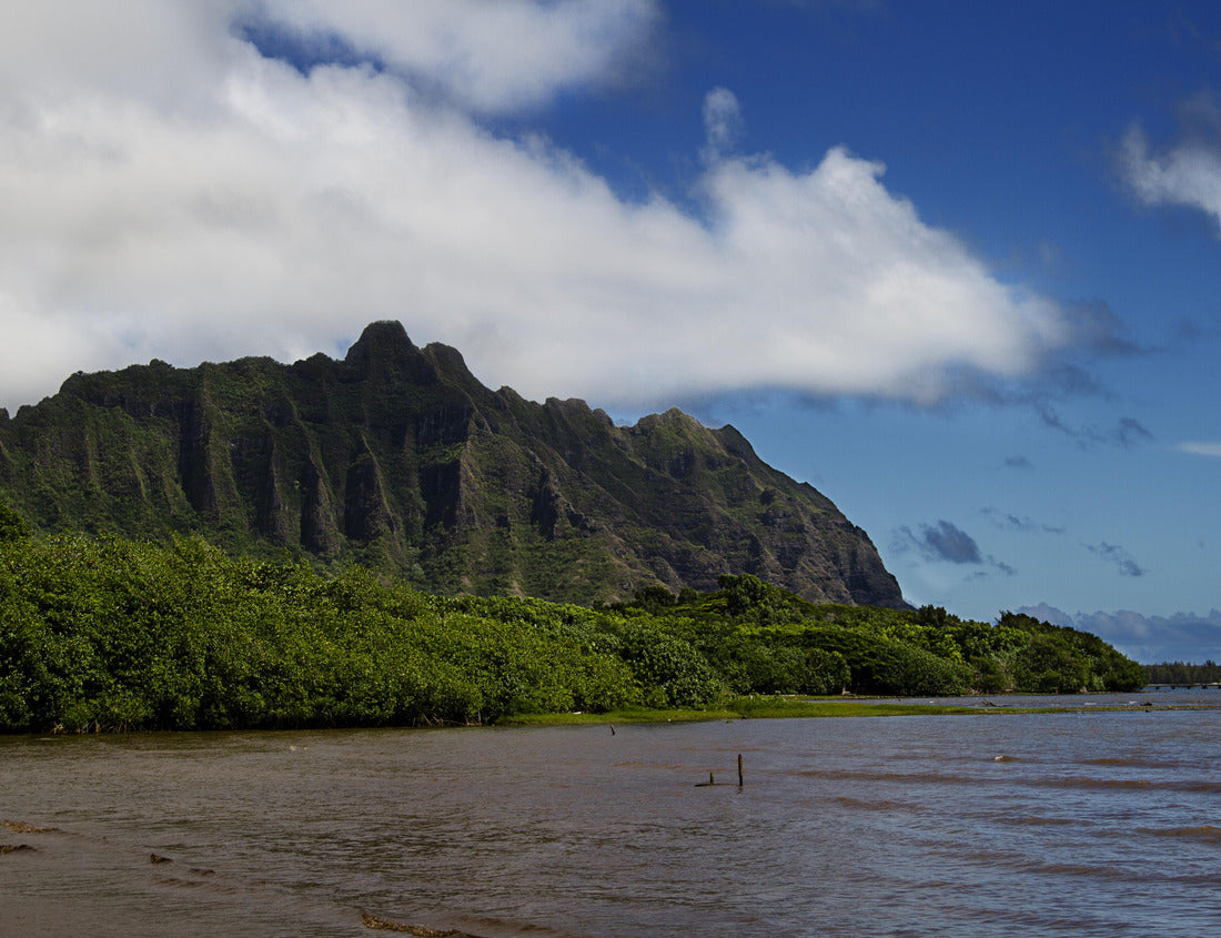 Noah Jigsaw Puzzle View of Kahana parc from Kahaluu beach 1000 pieces