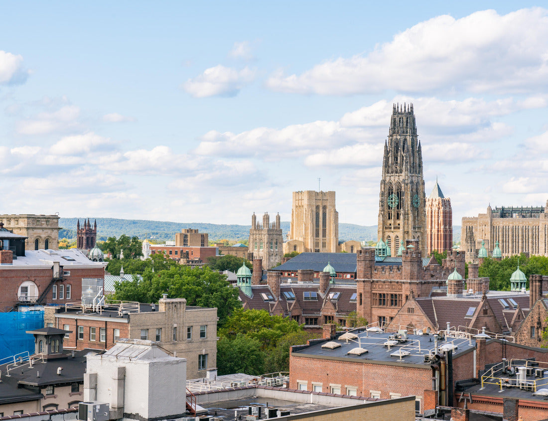 Noah Jigsaw Puzzle City skyline of New Haven, Connecticut 1000 pieces