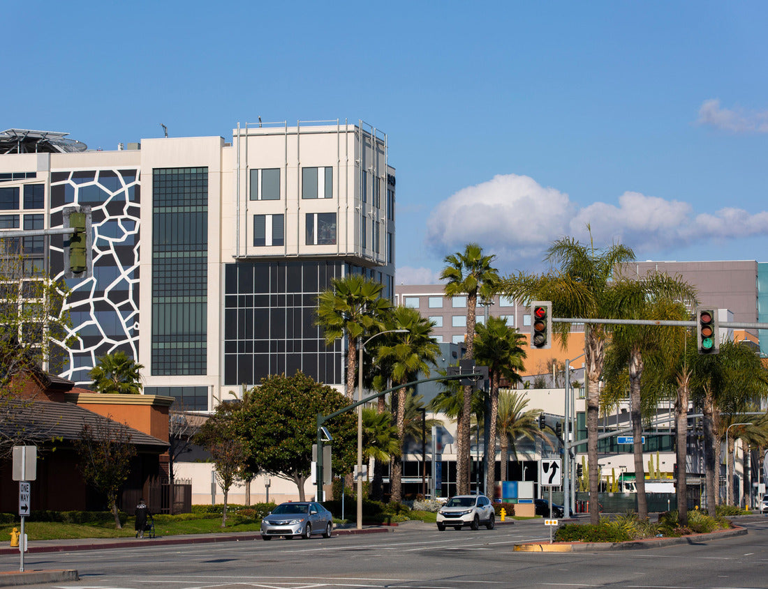 Noah Jigsaw Puzzle Daytime view of Buena Park, California 1000 pieces