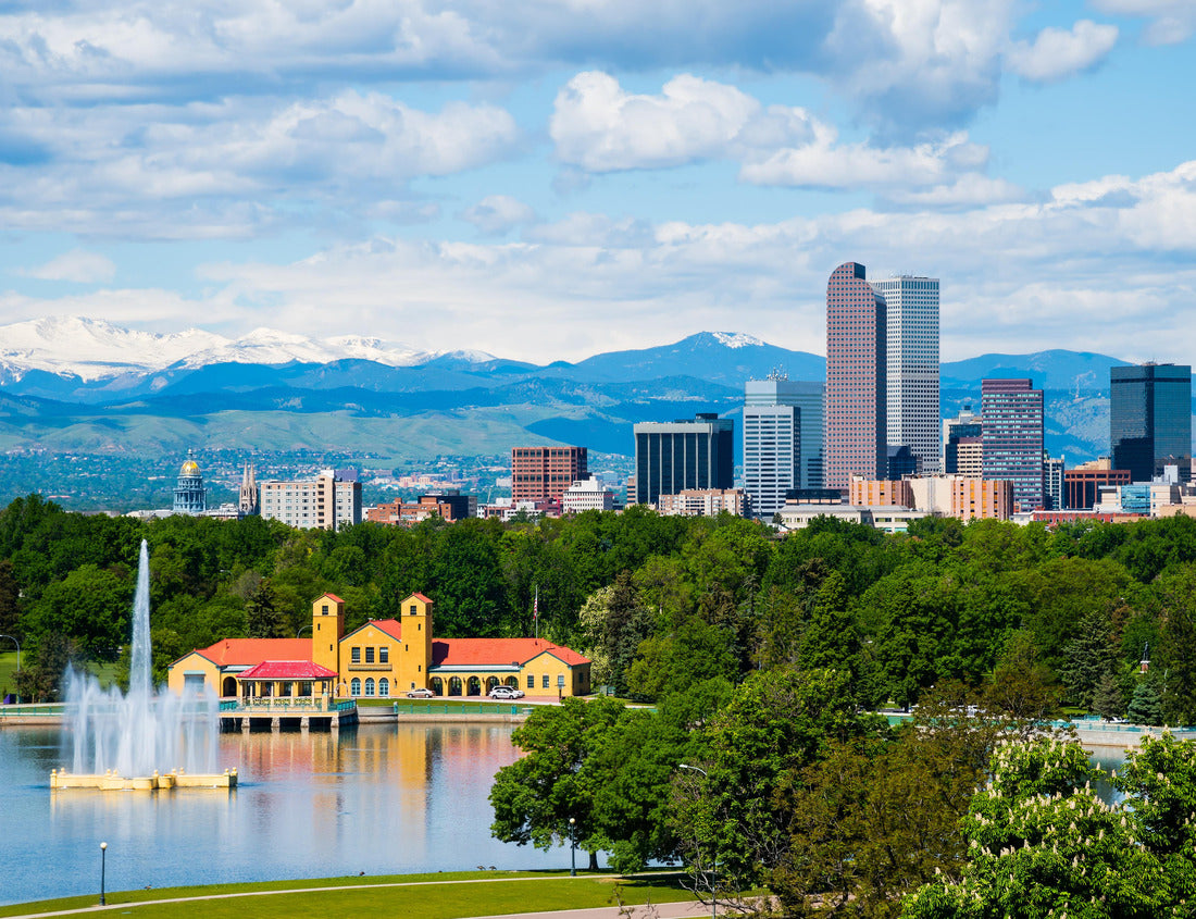 Noah Jigsaw Puzzle Denver Colorado downtown with City Park 1000 pieces
