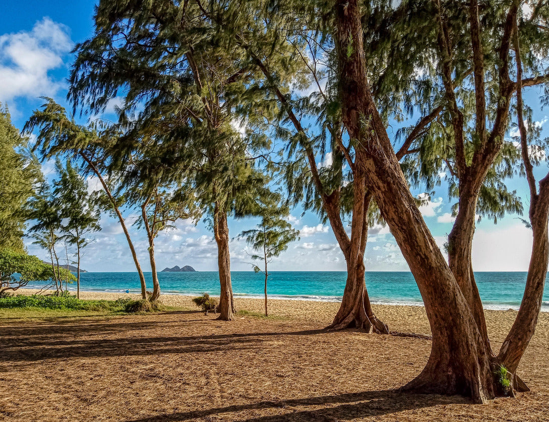 Noah Jigsaw Puzzle Waimanalo Beach Park, Oahu, Hawaii, USA 1000 pieces