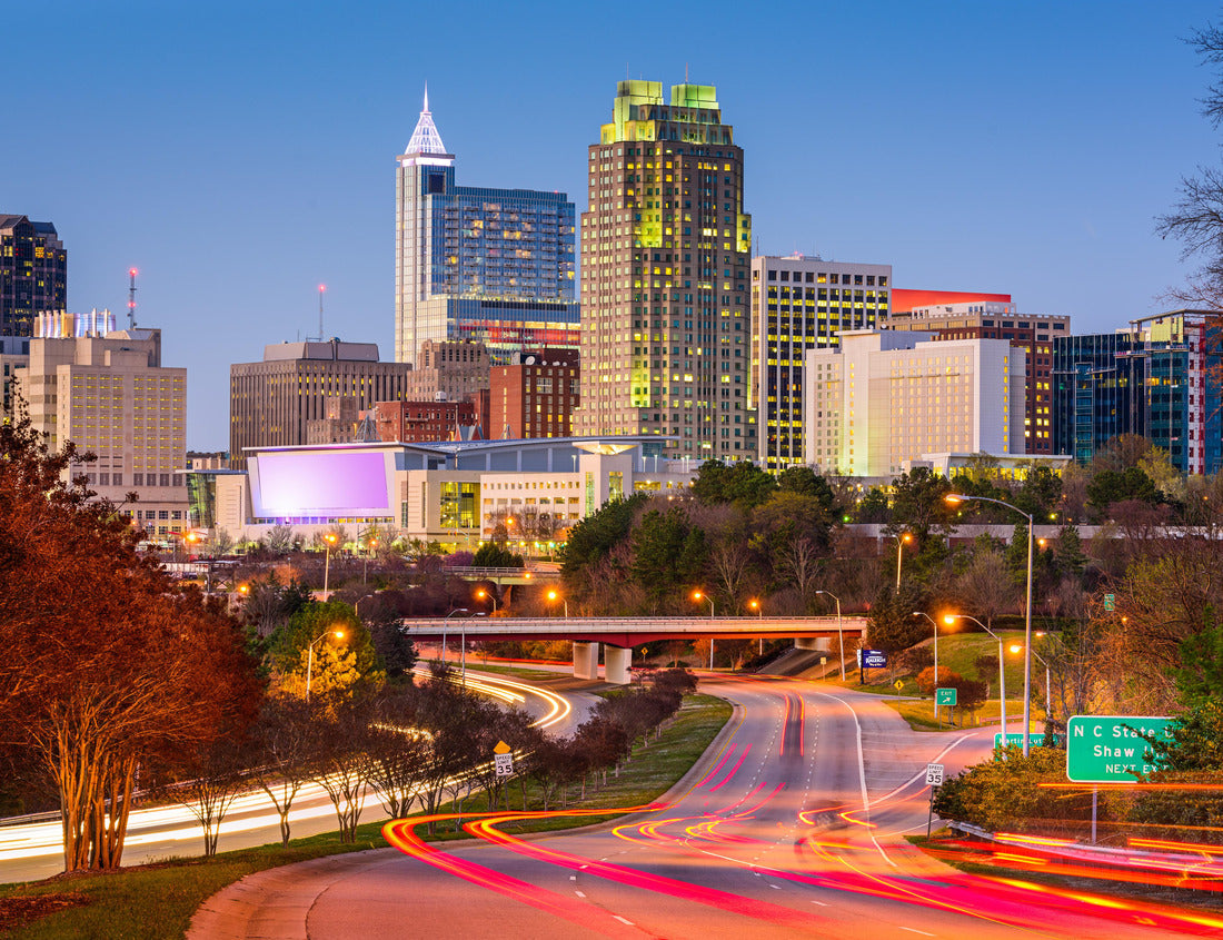 Noah Jigsaw Puzzle Raleigh, North Carolina, USA downtown city skyline 1000 pieces