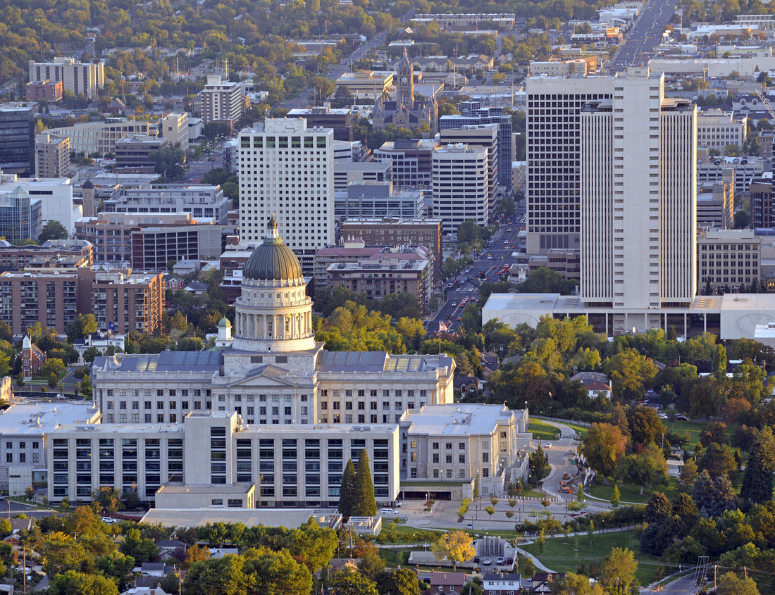 Noah Jigsaw Puzzle Salt Lake City skyline with Capitol building, Utah 1000 pieces