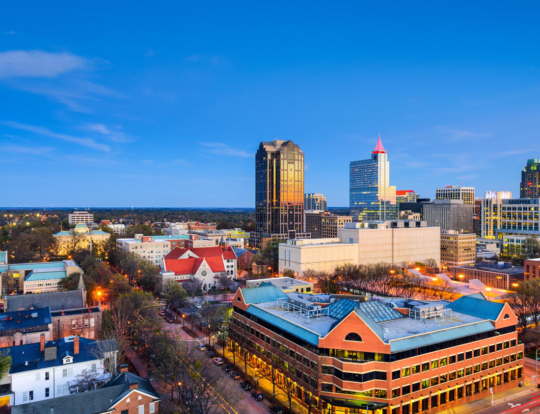 Noah Jigsaw Puzzle Raleigh, North Carolina, USA downtown city skyline 1000 pieces