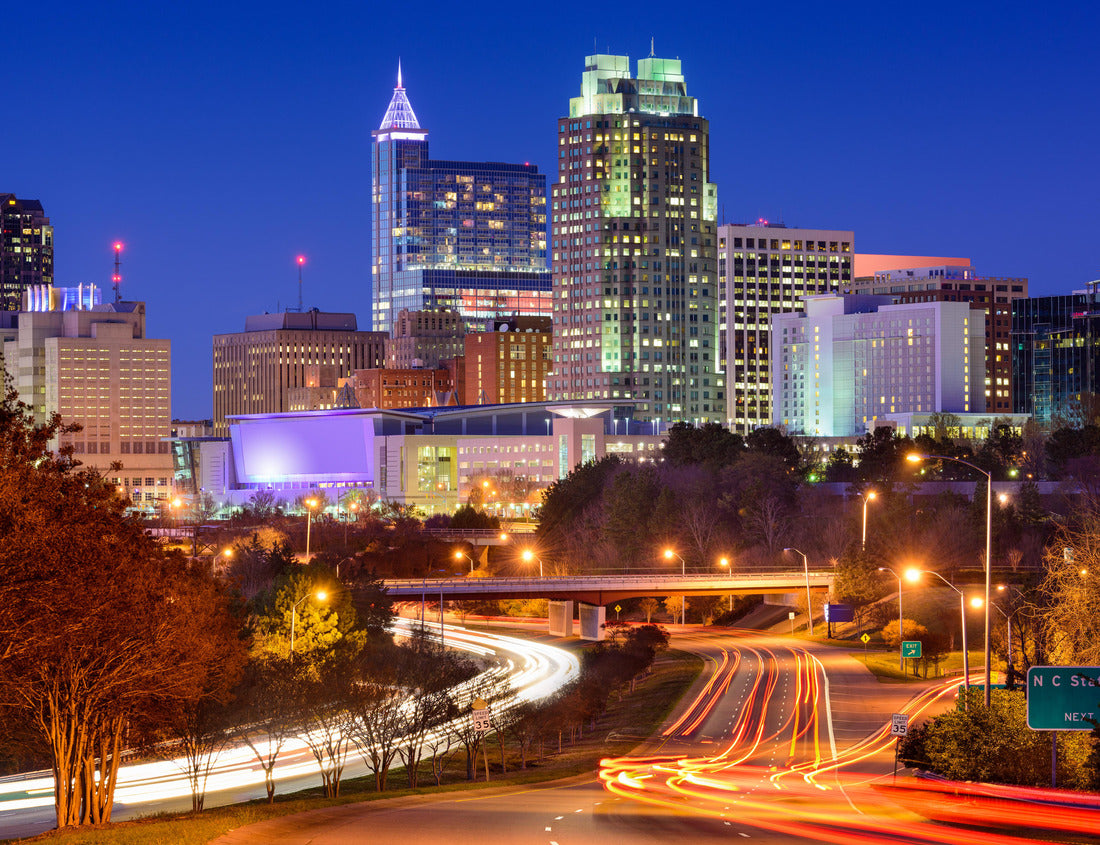 Noah Jigsaw Puzzle Raleigh, North Carolina, USA downtown city skyline 1000 pieces