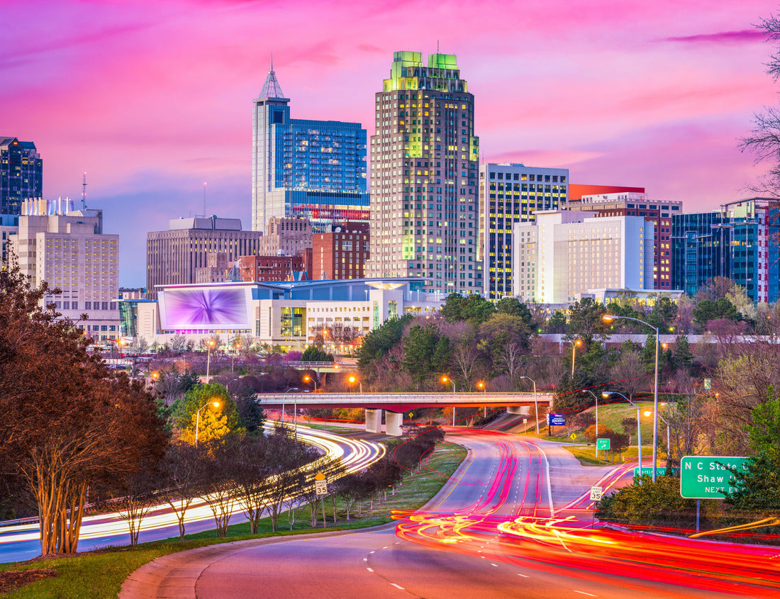 Noah Jigsaw Puzzle Raleigh, North Carolina, USA downtown city skyline 1000 pieces