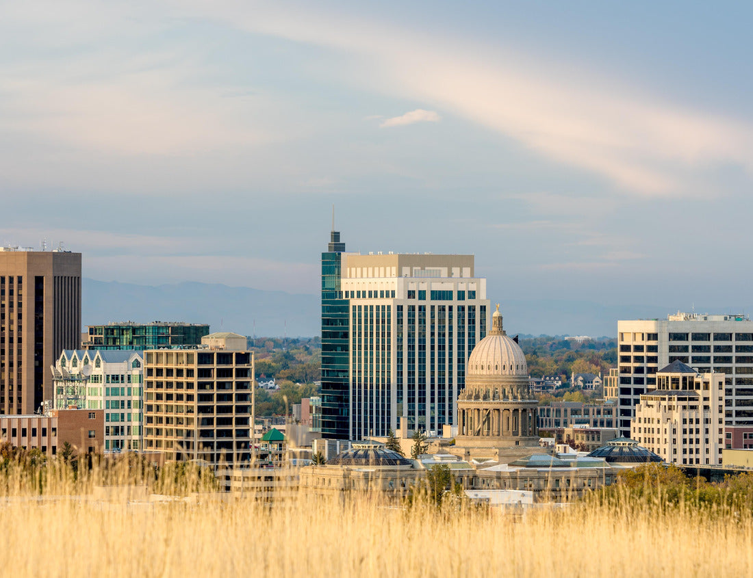 Noah Jigsaw Puzzle Boise Idaho skyline with tan colored grass foreground 1000 pieces