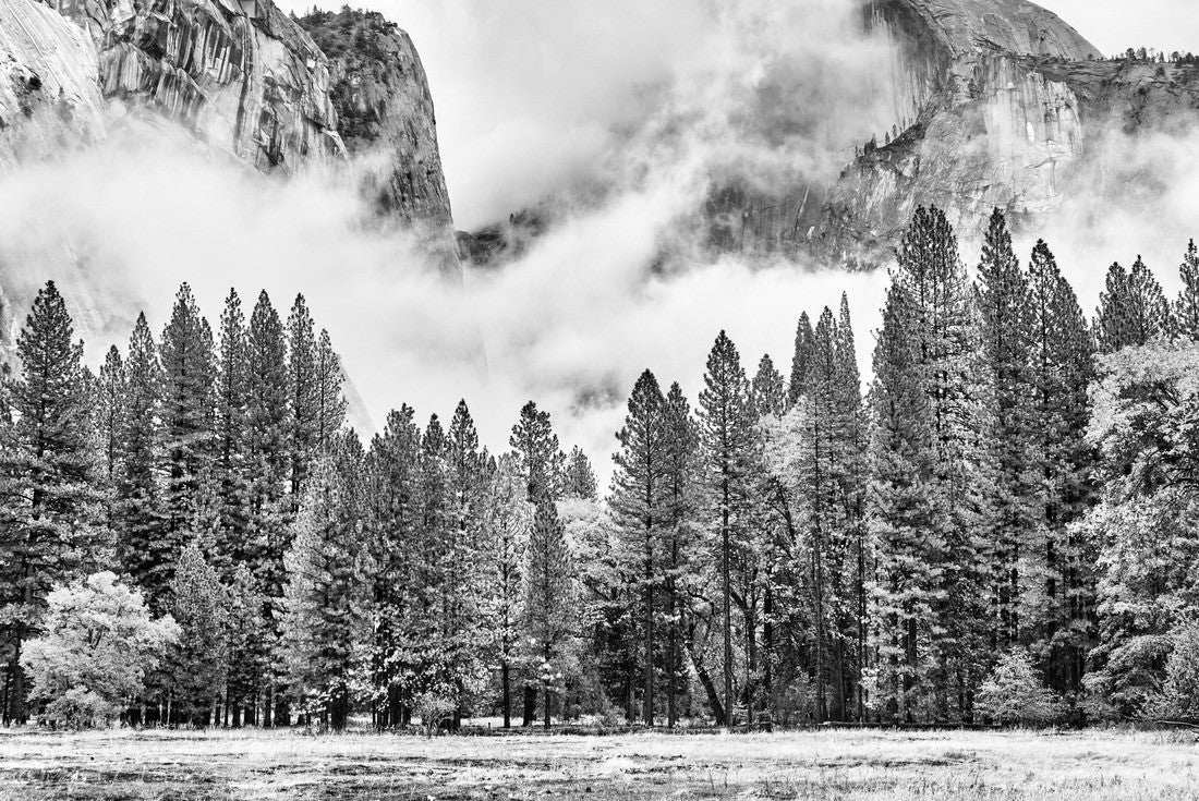 Yosemite National Park Valley at cloudy autumn morning. Low clouds lay in the valley. California, USA 2000pc PuzzleBlack and White