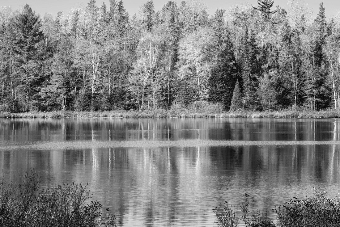 Noah Jigsaw Puzzle Autumn colors reflected in an upper Michigan lake, Hiawatha National Forest near Munising in black white 2000 pieces