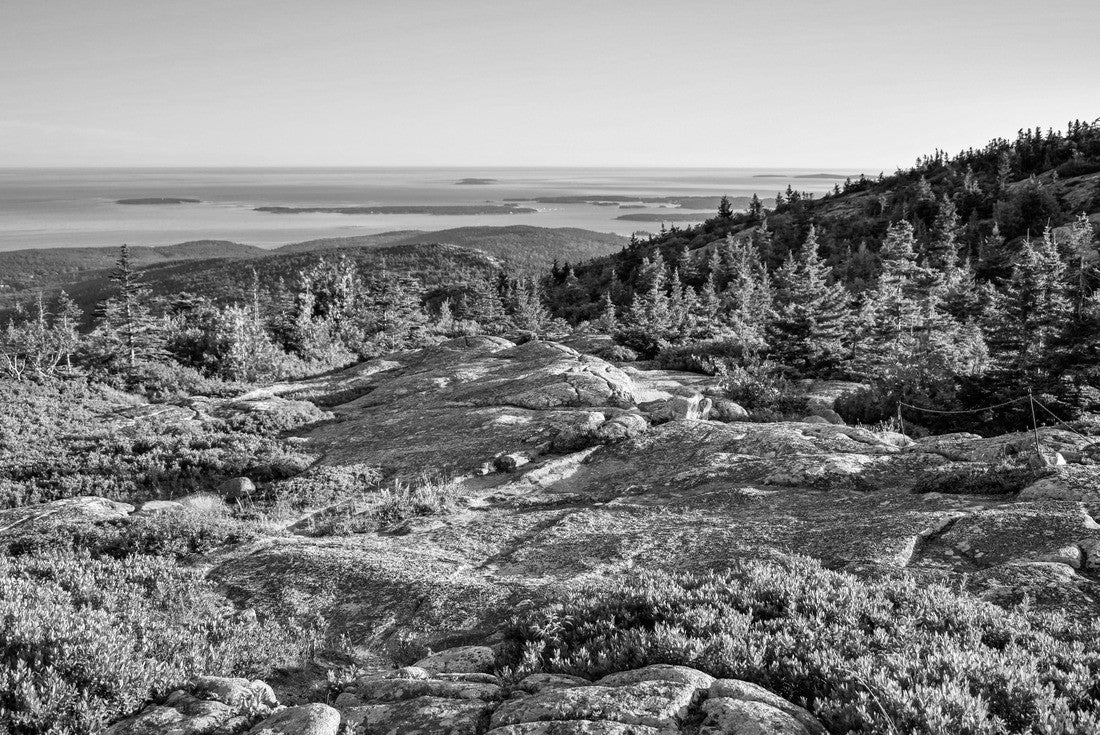 Noah Jigsaw Puzzle Cadillac mountain Acadia National park in black white 2000 pieces