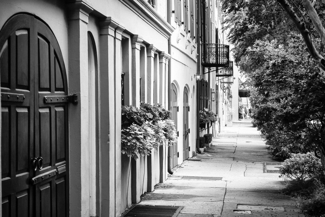 Noah Jigsaw Puzzle Empty sidewalk view of lush summer greenery lining the colorful Georgian architecture of the colonial Rainbow Row in the historical Battery neighborhood of Charleston, South Carolina, USA in black white 2000 pieces