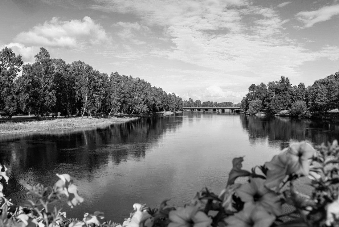 the green nature in Karlstad Sweden with colorful flowers in the foreground 2000pc PuzzleBlack and White