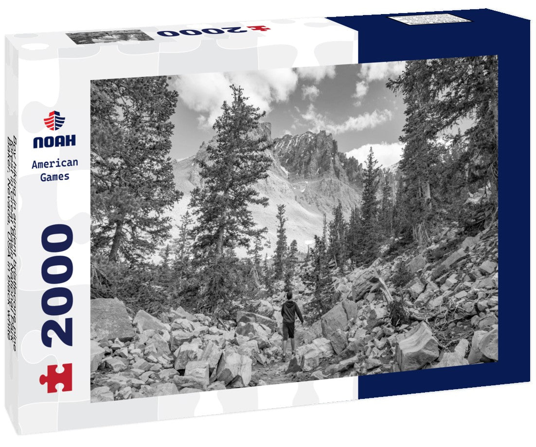 Boy hiking in ancient bristlecone pine forest in Great Basin National Park, Baker, Nevada, USA 2000pc PuzzleBlack and White