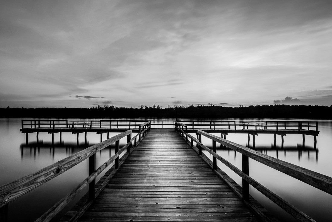 Evening at Elvis Presley Lake. Elvis Presley Lake is a 100-acre lake in Lee County, outside of Tupelo, Mississippi 2000pc PuzzleBlack and White
