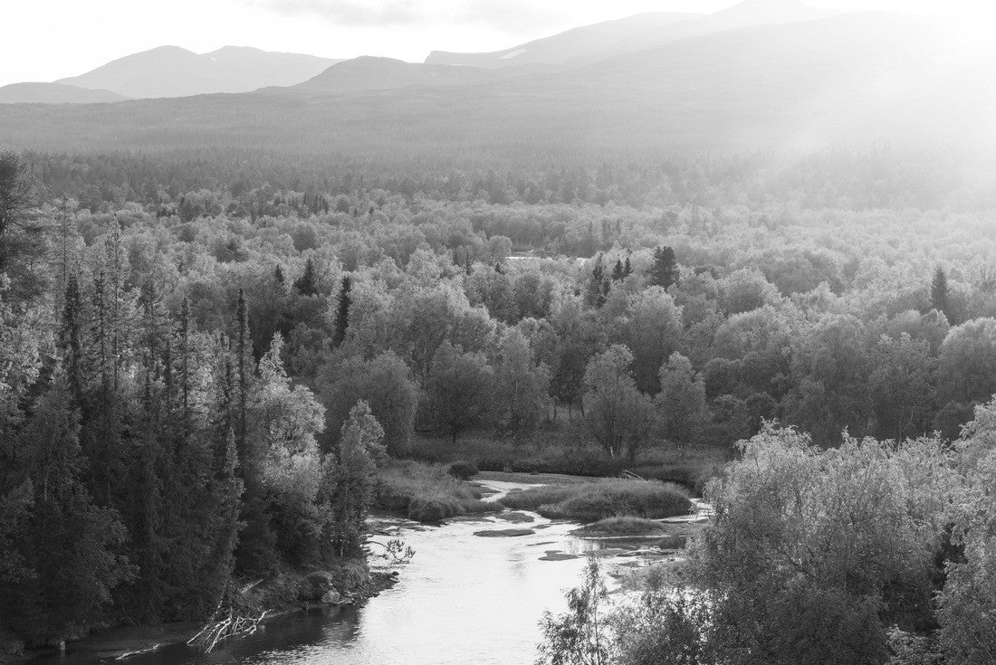 The sun setting over a river in a forest wilderness. Jamtland, Sweden 2000pc PuzzleBlack and White