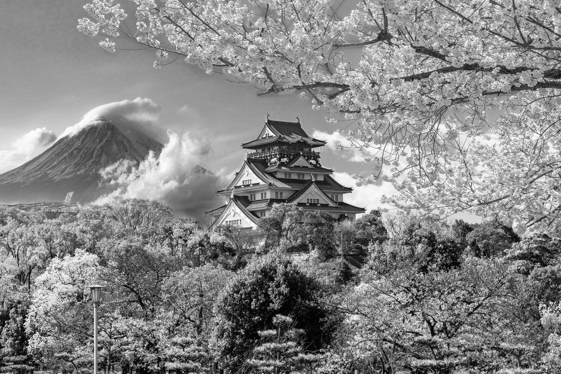 Osaka Castle and full cherry blossom, with Fuji mountain background, Japan 2000pc PuzzleBlack and White