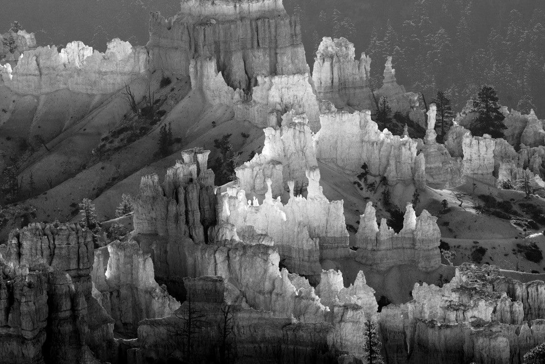 Noah Jigsaw Puzzle Beautiful colors in the Canyon, Bryce Canyon National Park, Utah, USA in black white 2000 pieces