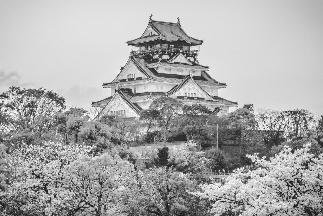 Osaka Castle at sunset, beautiful Japanese temple cherry blossom trees, sakura season, autumn Japan 2000pc PuzzleBlack and White