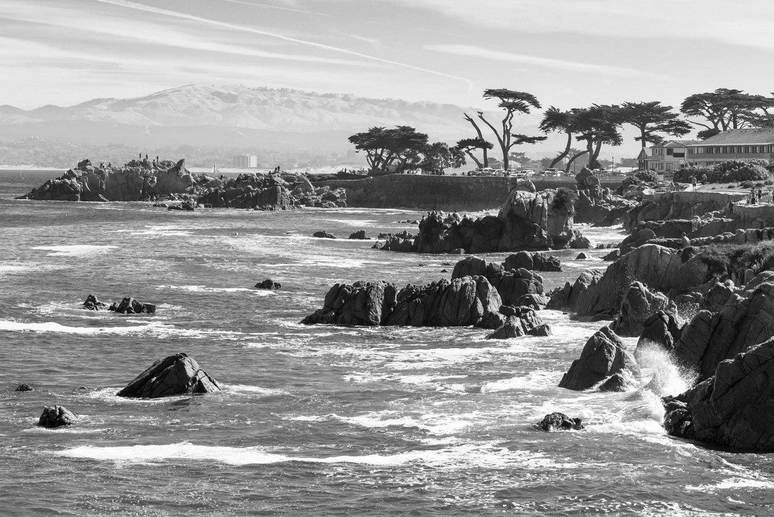 Scenic Monterey coast, beautiful California coastline, Pacific Grove, Monterey, California, USA 2000pc PuzzleBlack and White
