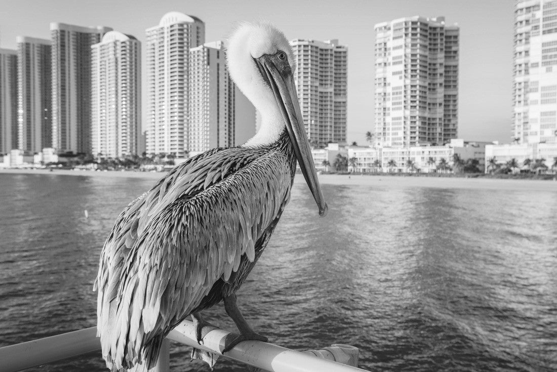 Sunny Isles Beach, Florida, USA 2000pc PuzzleBlack and White