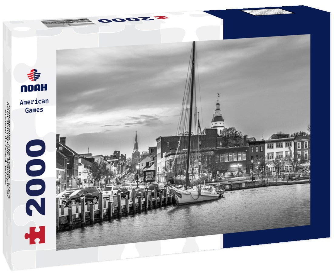Annapolis, Maryland, USA from Annapolis Harbour at sunset 2000pc PuzzleBlack and White