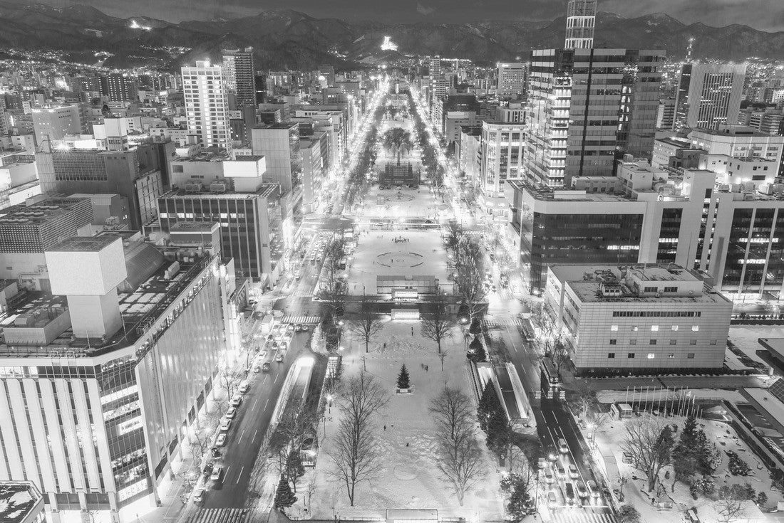 Noah Jigsaw Puzzle Cityscape Odori Park seen from Sapporo TV tower, illuminated during the winter season, famous tourist spot in Sapporo Snow Festival in black white 2000 pieces