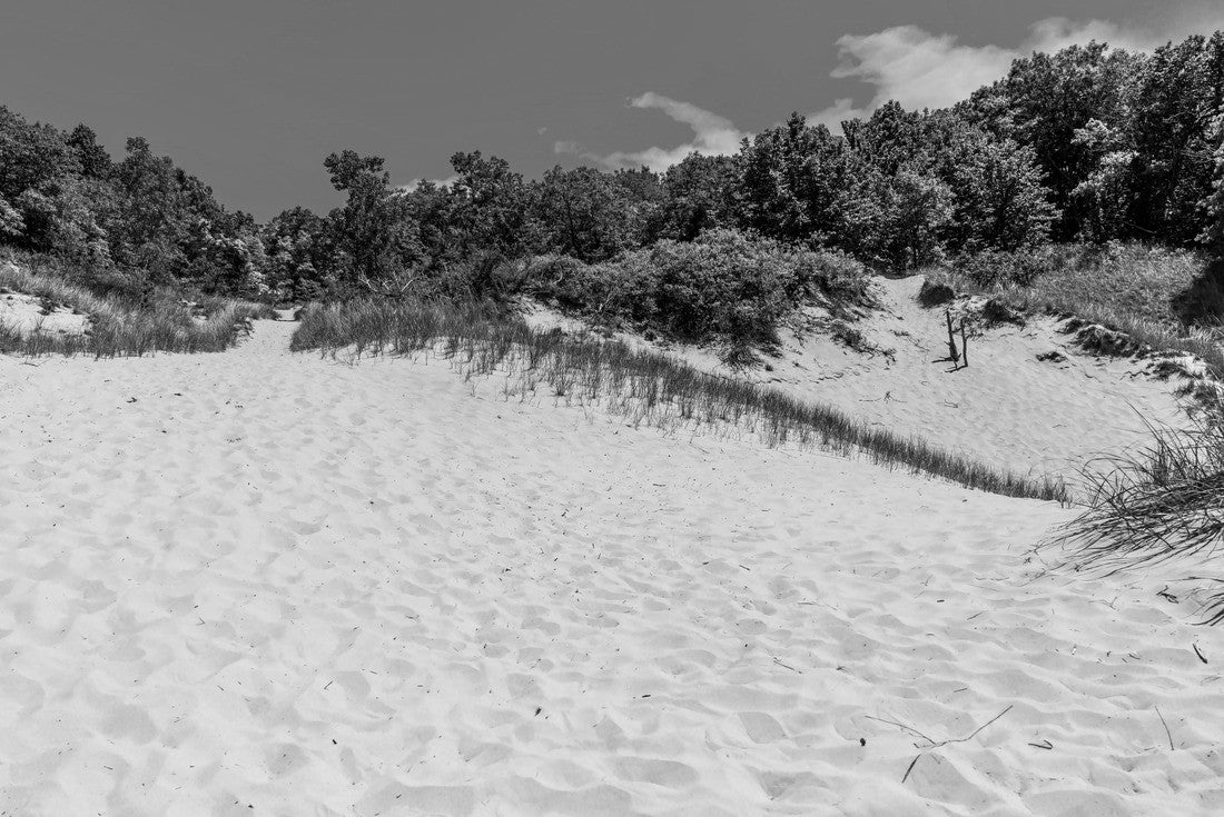 Noah Jigsaw Puzzle Indiana Dunes State Park near Porter, Indiana, USA in black white 2000 pieces