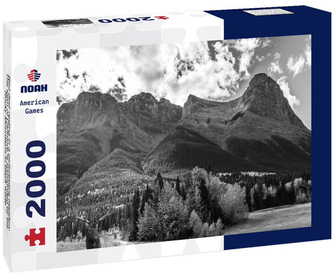 Red deer resting in a picturesque meadow. The town of Canmore is surrounded by the Rocky Mountains 2000pc PuzzleBlack and White