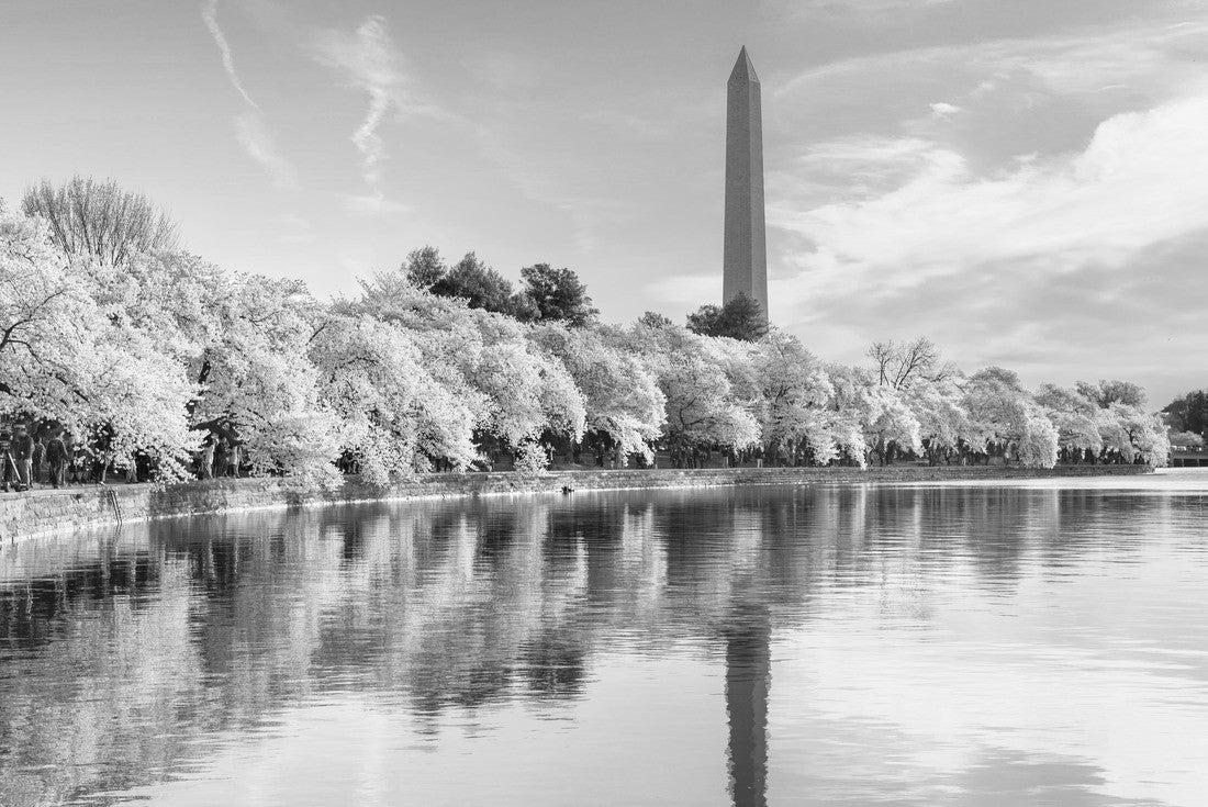 Washington DC, USA at the tidal basin with Washington Monument in spring season 2000pc PuzzleBlack and White