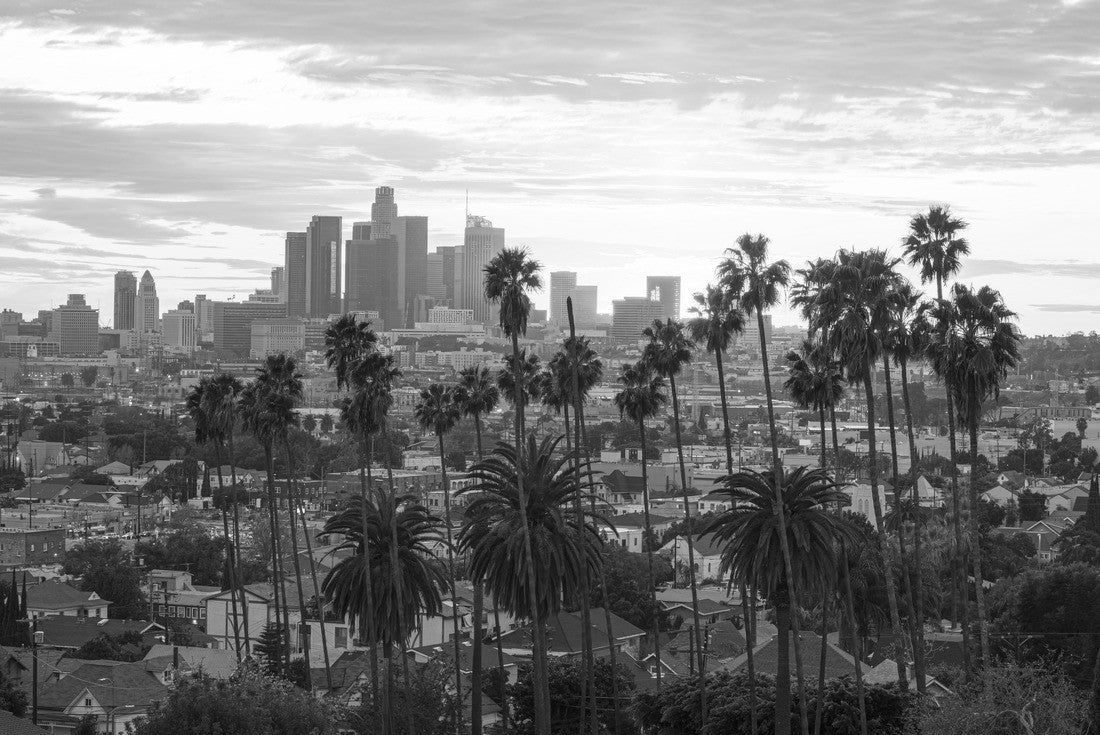 Beautiful sunset through the palm trees, Los Angeles, California 2000pc PuzzleBlack and White