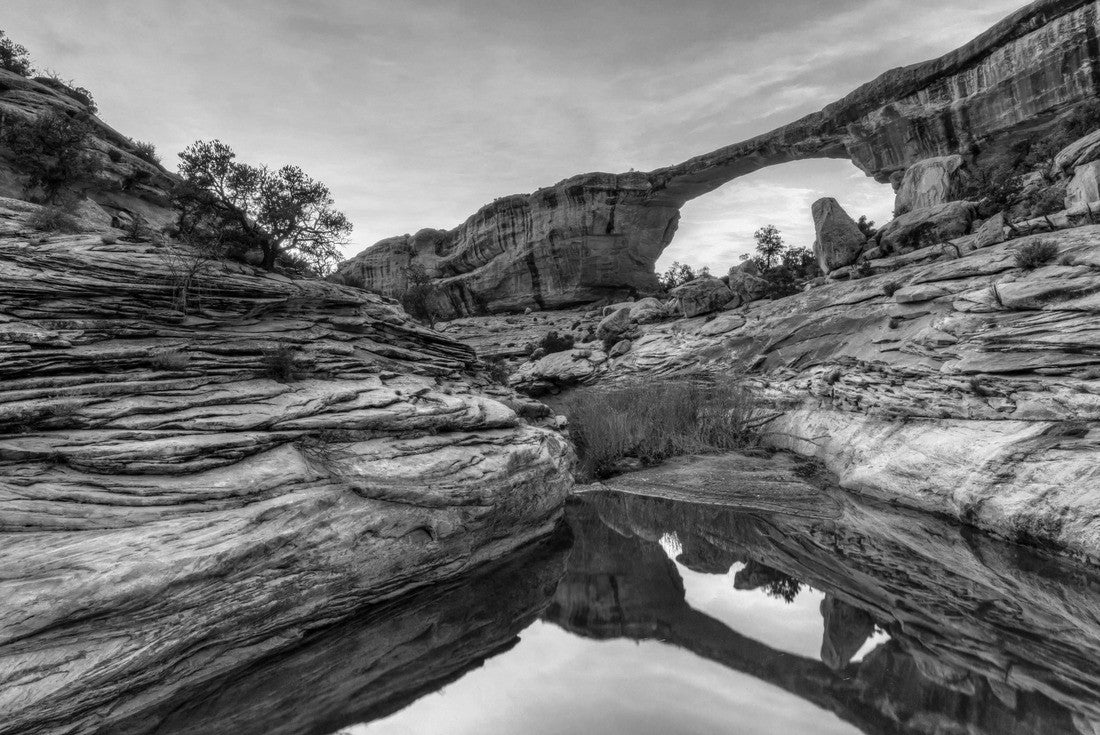 Owachomo Bridge and a colorful sky reflected in a pool gathered in Armstrong Canyon in Natural Bridges National Monument, Utah 2000pc PuzzleBlack and White
