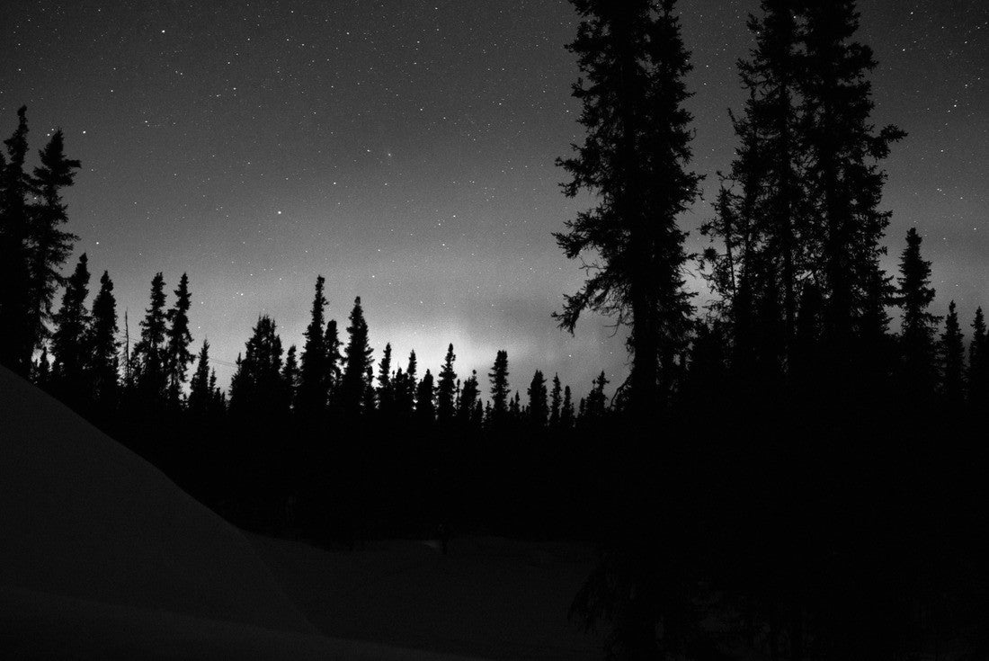 Aurora Borealis in North Star Borough of Fairbanks, Alaska - Harding Lake, Salcha 2000pc PuzzleBlack and White