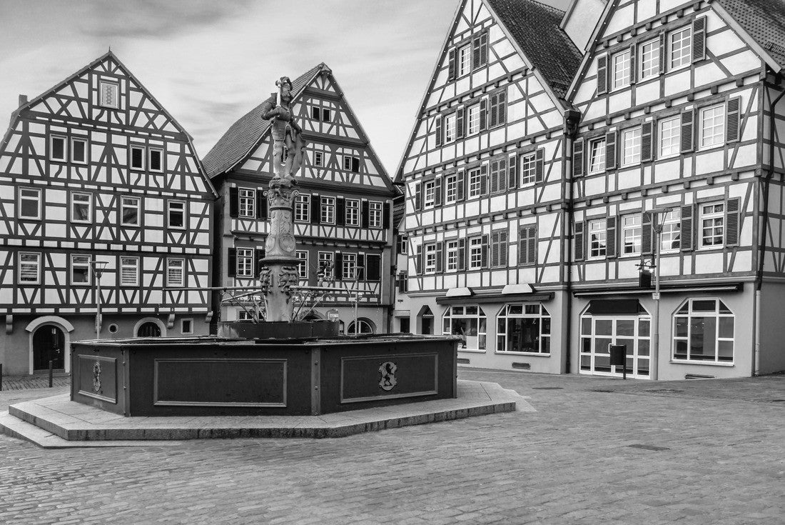Marketplace in Leonberg at sunset 2000pc PuzzleBlack and White