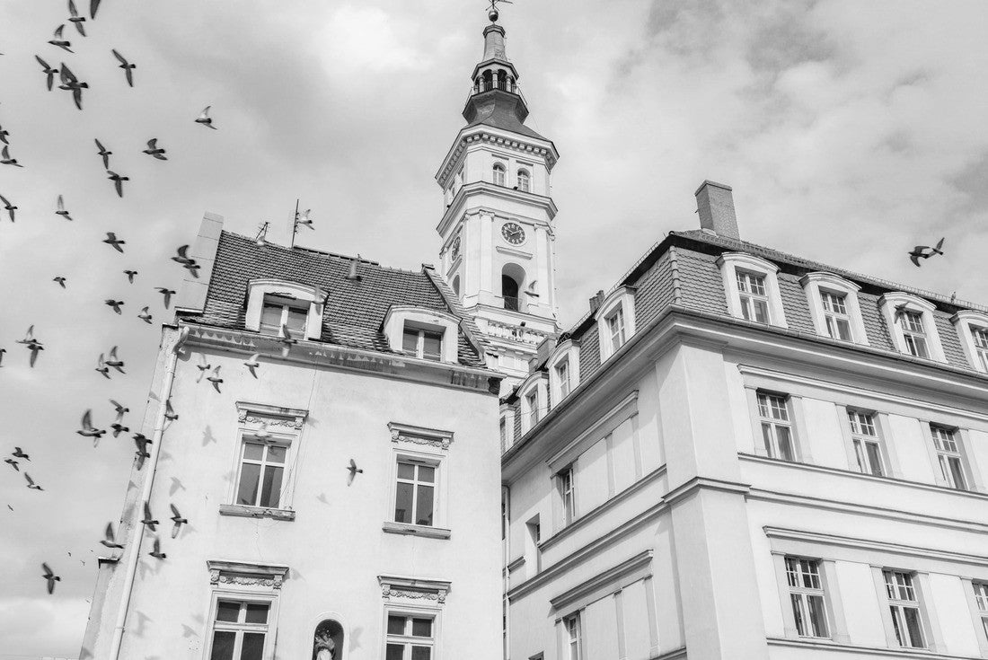 Town hall of Prudnik. Prudnik, Opole, Poland 2000pc PuzzleBlack and White