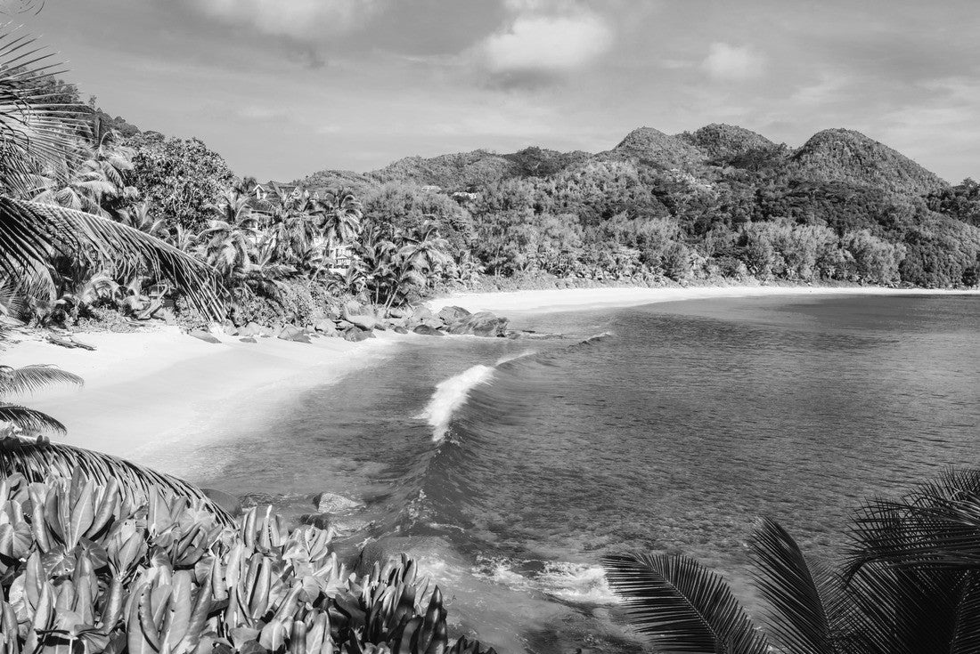 Noah Jigsaw Puzzle Mahe Island, Seychelles. Holiday vocation on the beautiful exotic Anse Intendance tropical beach. Ocean wave rolling towards sandy beach with coconut palm trees in black white 2000 pieces
