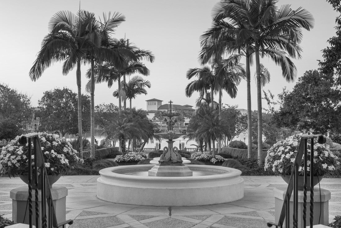 Noah Jigsaw Puzzle Lakeland, Florida, USA Gardens at night in black white 2000 pieces