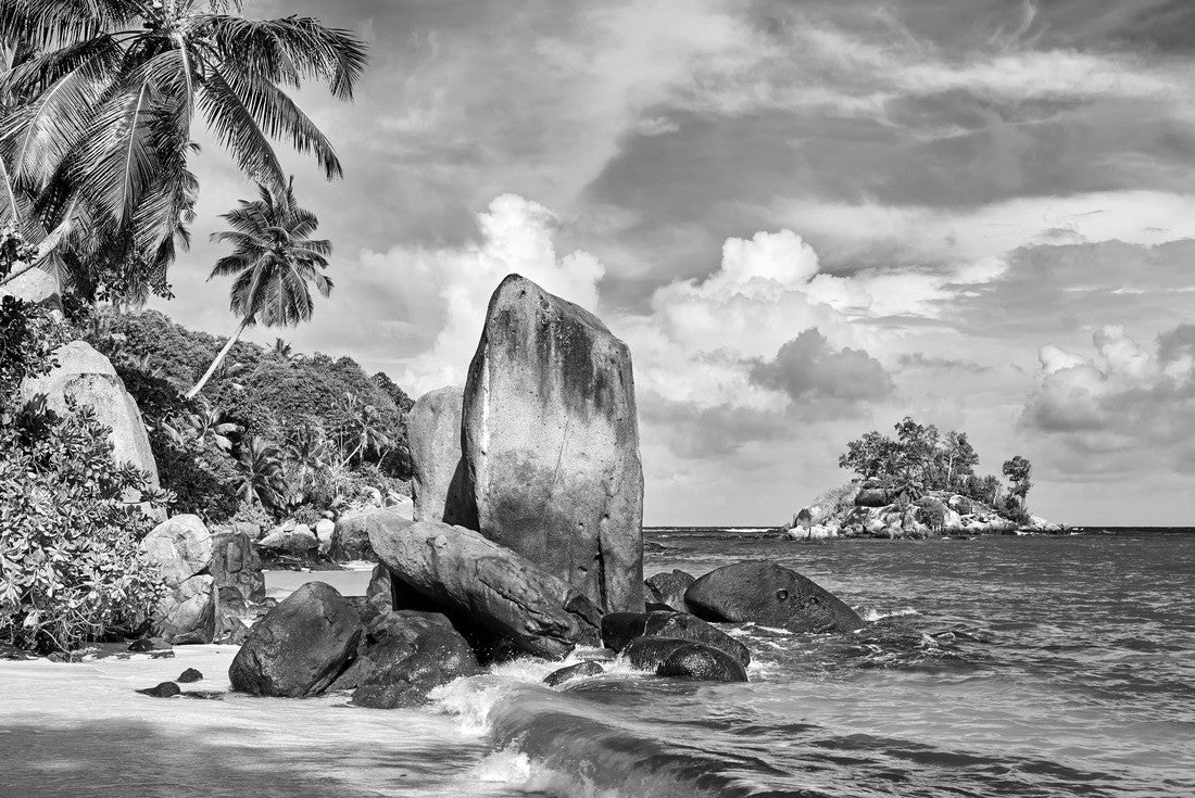 Noah Jigsaw Puzzle Beautiful beach with palm tree and rocks landscape at Seychelles, Mahe in black white 2000 pieces