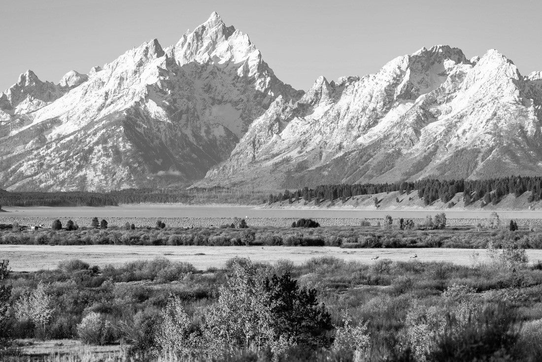Noah Jigsaw Puzzle Snow cover mountain peak of Grand Teton and Mount Moran outstanding in blue sky beside Jackson Lake and Willow Flats of Grand Teton National Park, Wyoming, USA in black white 2000 pieces