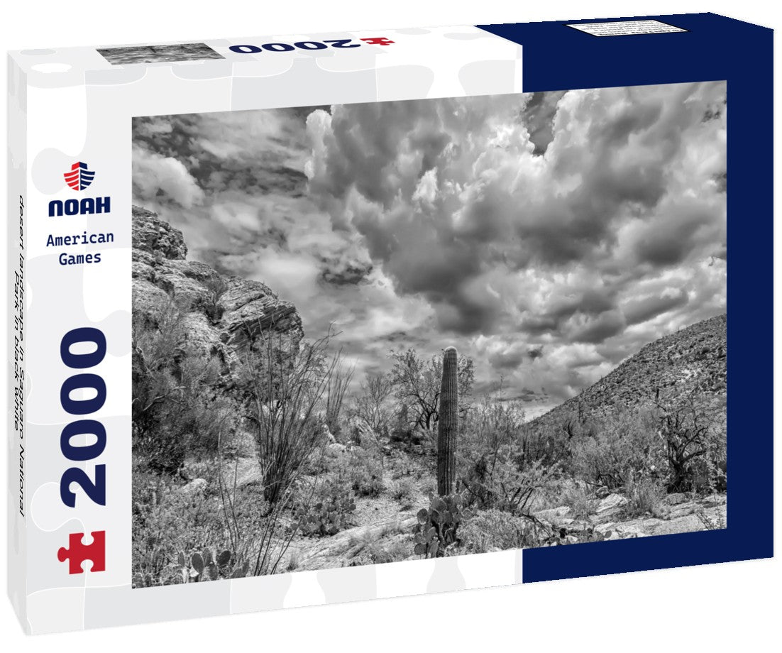 desert landscape in Saguaro National Park 2000pc PuzzleBlack and White