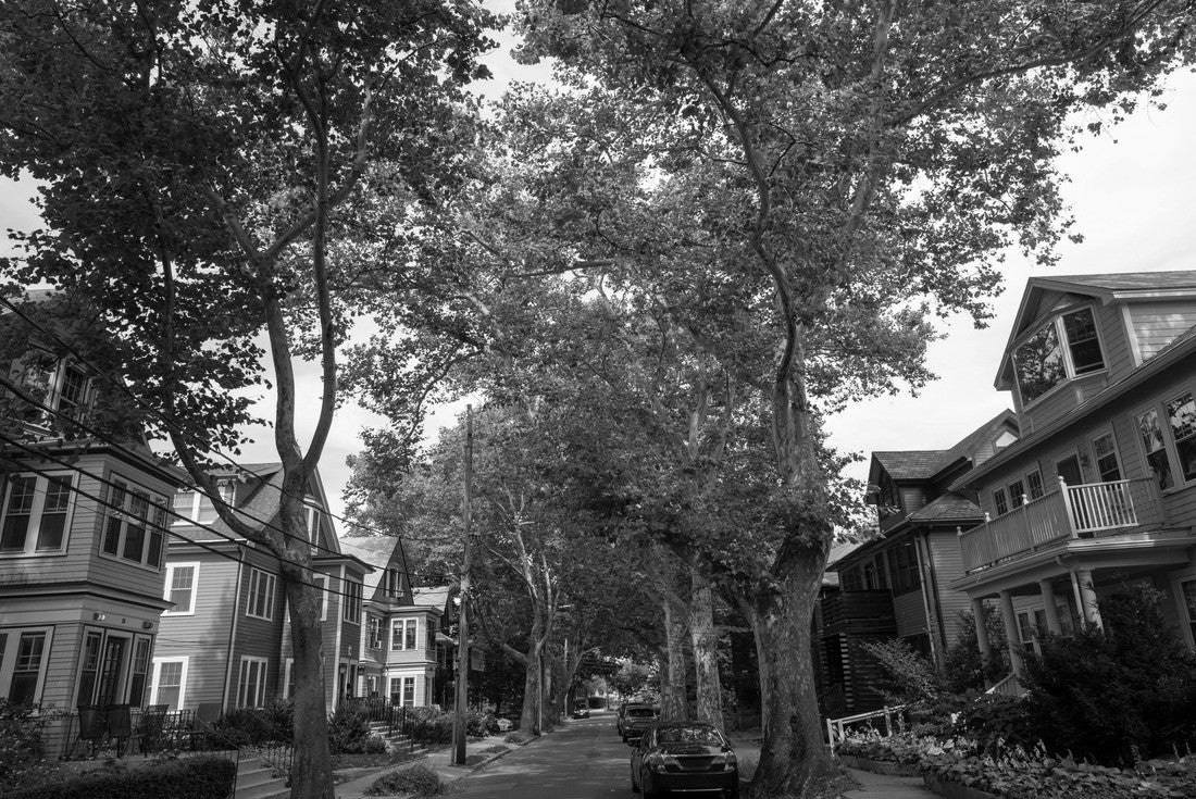 Historic buildings on Beals Street in the Coolidge Corner of Brookline near Boston, Massachusetts, MA, USA. John Fitzgerald Kennedy National Historic Site NHS is located on this street 2000pc PuzzleBlack and White