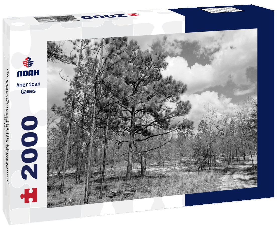 Ohoopee Dunes Wildlife Management Area in Georgia USA 2000pc PuzzleBlack and White
