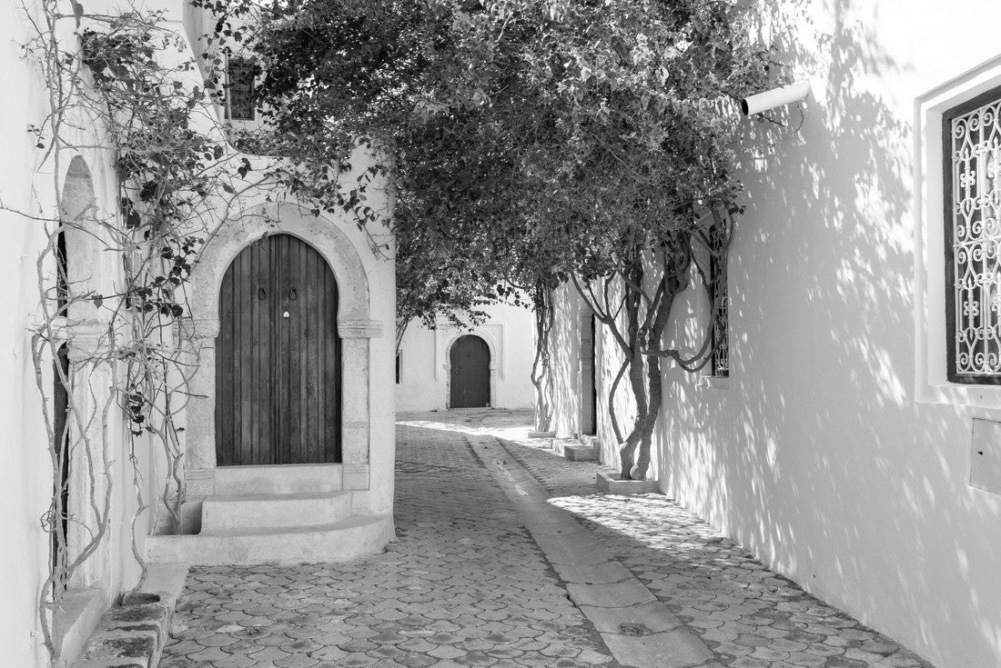 Noah Jigsaw Puzzle Streets of Erriadh, traditional Tunisian village with colorful doors, Djerba in black white 2000 pieces