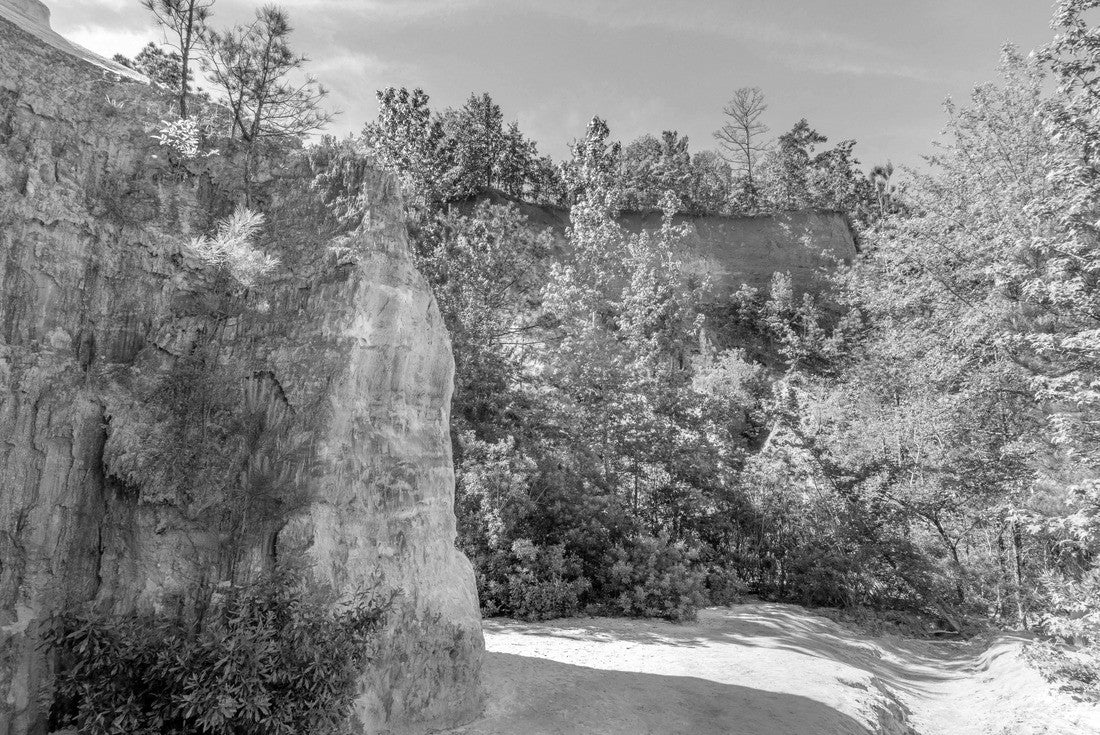 Hiking on the trails in Providence Canyon, Lumpkin Georgia 2000pc PuzzleBlack and White