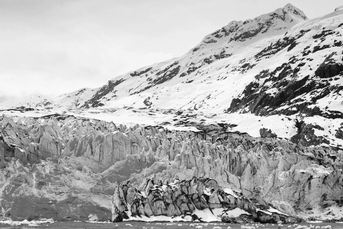 Noah Jigsaw Puzzle Glacier Bay National Park, Alaska, USA, World Natural Heritage in black white 2000 pieces