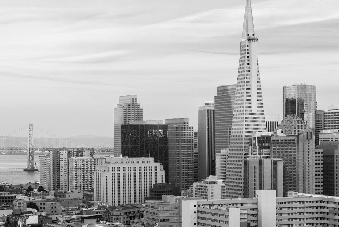 Noah Jigsaw Puzzle Panoramic Sunset at San Francisco downtown cityscape skylines ans skyscrapers building in California, USA. San Francisco United States in black white 2000 pieces